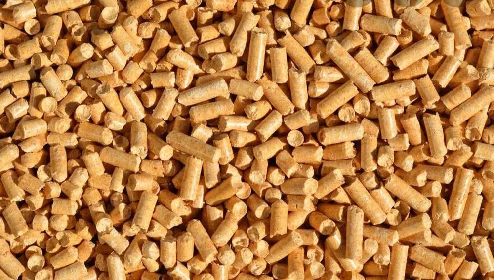 Pellet Premium 100 sacos - 15 Kg - Image 3